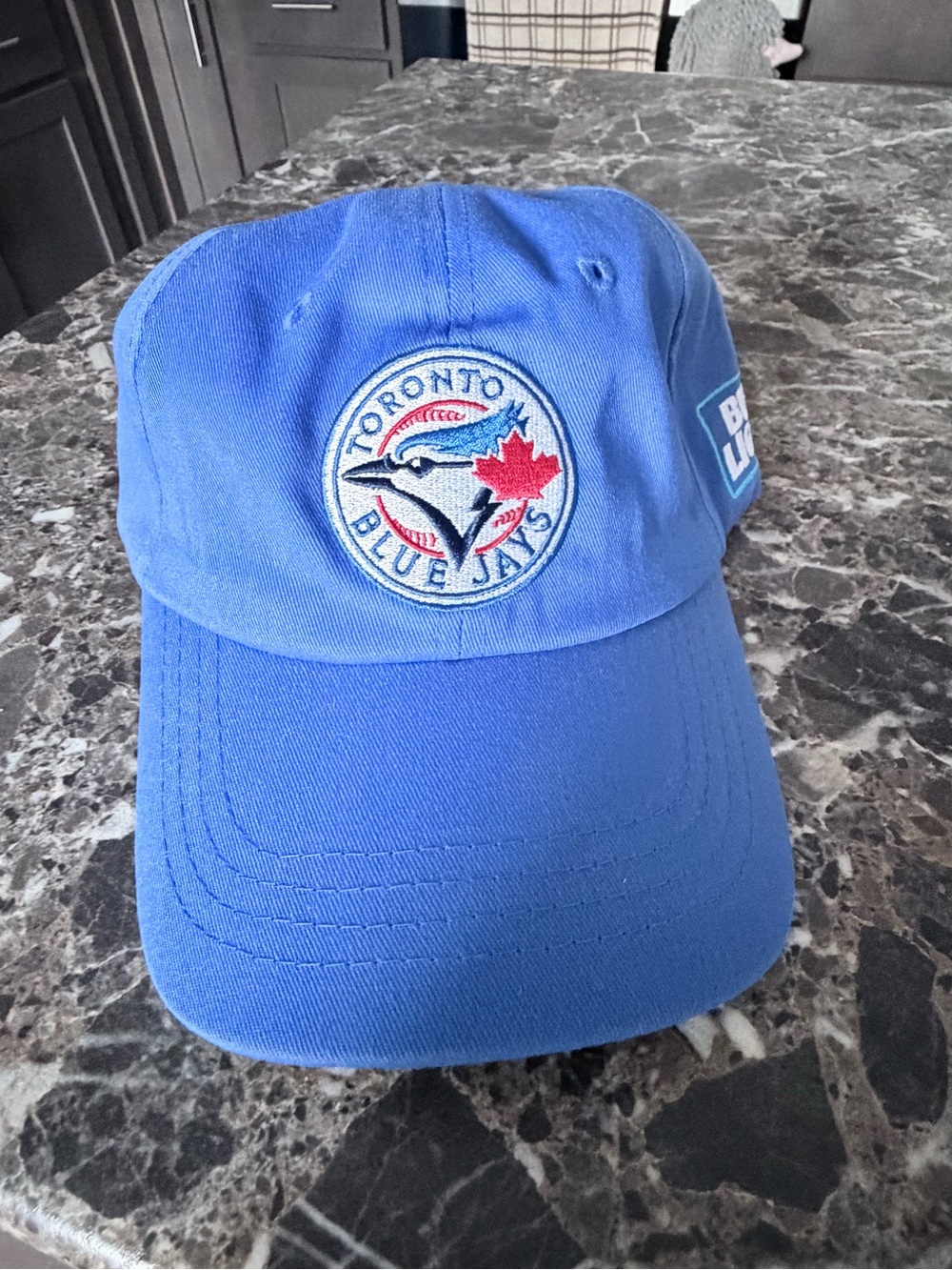 Dark Blue Baseball Cap - Official Team Logo